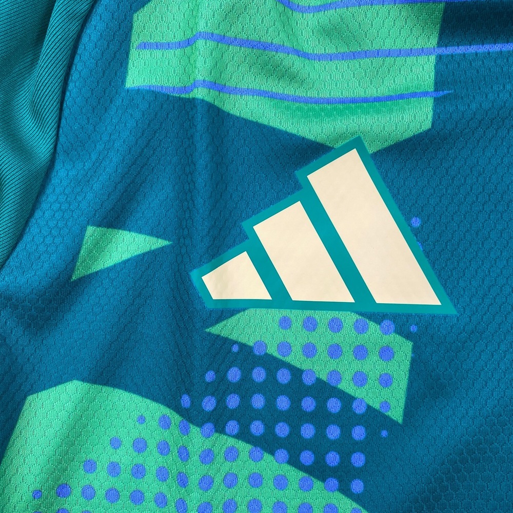 Adidas Tiro 24 Pro Competition Soccer Goalkeeper Jersey Men's Size L Green - Picture 4 of 11